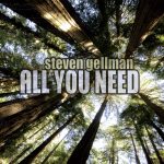 Folk Singer – Steven Gellman has a golden voice!